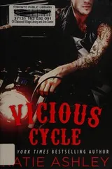 Cover of Vicious cycle