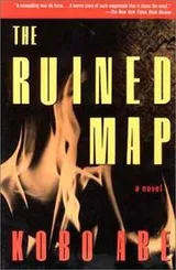 Cover of Ruined Map