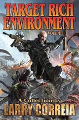 Cover of Target Rich Environment
