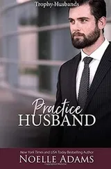 Cover of Practice Husband