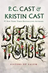 Cover of Spells Trouble