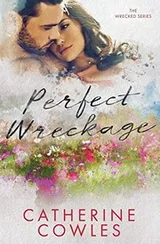 Cover of Perfect Wreckage