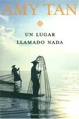 Cover of Saving Fish from Drowing
