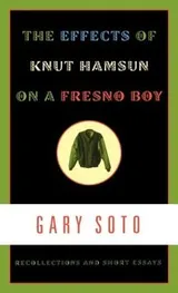 Cover of The Effects of Knut Hamsun on a Fresno Boy