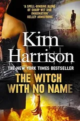 Cover of The Witch With No Name
