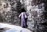 Cover of Shirin Neshat