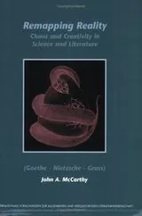 Cover of Remapping reality