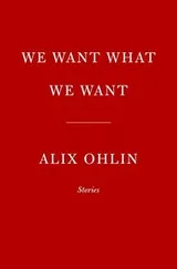 Cover of We Want What We Want