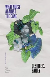 Cover of What Noise Against the Cane