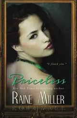 Cover of Priceless
