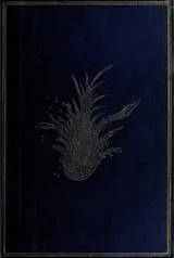 Cover of Phantasmagoria and Other Poems
