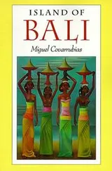 Cover of Island of Bali