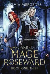 Cover of Thief