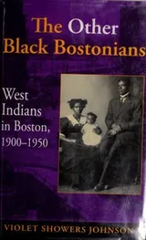 Cover of The Other Black Bostonians