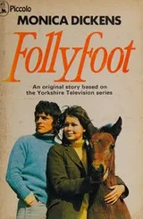 Cover of Follyfoot