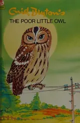 Cover of The poor little owl