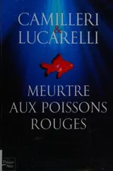Cover of Meurtre aux poissons rouges