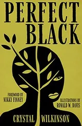 Cover of Perfect Black