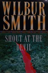 Cover of Shout at the devil