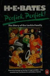 Cover of Perfick, Perfick!