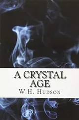 Cover of A Crystal Age
