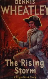 Cover of The rising storm