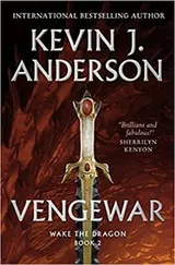 Cover of Vengewar