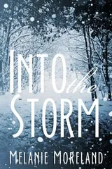 Cover of Into The Storm