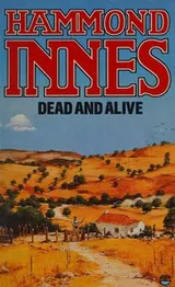 Cover of Dead and Alive