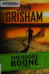 Cover of Theodore Boone