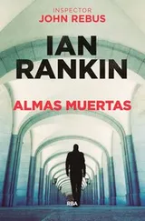 Cover of Almas muertas