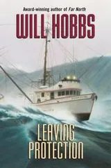 Cover of Leaving Protection