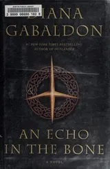 Cover of An Echo in the Bone