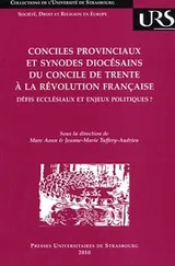 Cover of Conciles provinciaux et synodes diocésains du Concile de Trente à la Révolution française - défis ecclésiaux et enjeux politiques ?