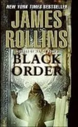 Cover of Black Order
