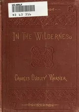 Cover of In the wilderness