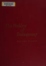 Cover of The problem of delinquency