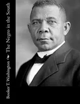 Cover of The Negro in the South
