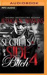 Cover of Secrets of a Side Bitch 4