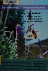 Cover of The eleventh commandment