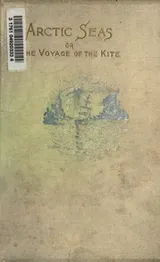 Cover of In Arctic seas