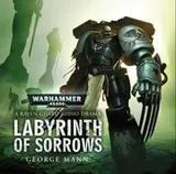 Cover of Labyrinth of Sorrows