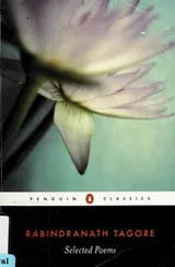 Cover of Selected Poems
