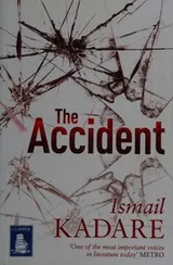 Cover of The accident
