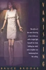 Cover of Vanishing (Laura Geringer Books)