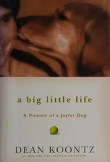 Cover of A Big Little Life