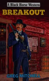 Cover of Breakout
