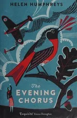Cover of The Evening Chorus
