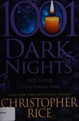 Cover of The flame