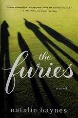 Cover of The furies